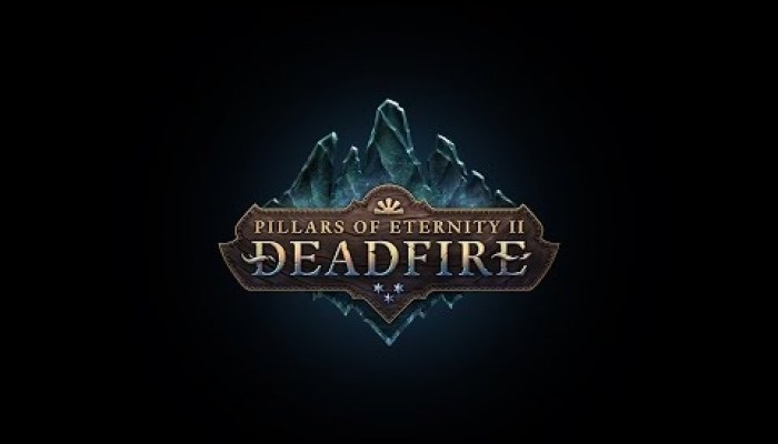 Pillars of Eternity II Deadfire - video