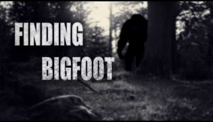 BIGFOOT - video