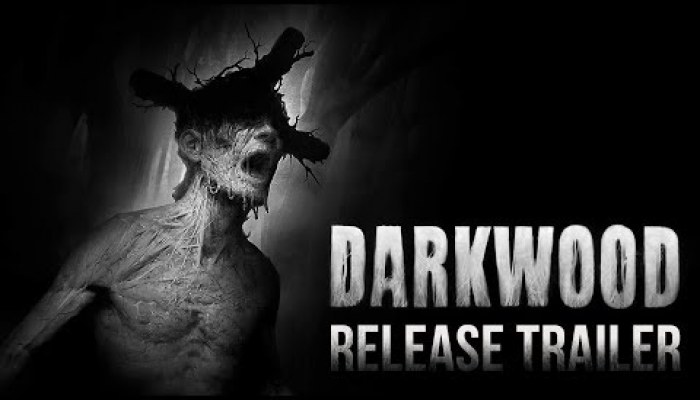 Darkwood - video